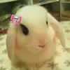 @6562308798723178502