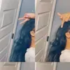 @6794820542320116741