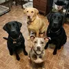 @6838738720545735685