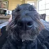 @6854161405110633477