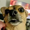 @6892551191017276421