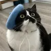 @6923471833752781829