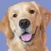 @6933785256458159110
