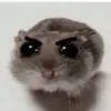 @6968820397036028933