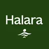 @HALARA GLAM
