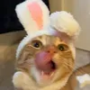 @7064553613809468463
