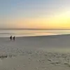 @7262311813139399722