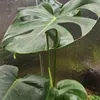 @7291092011757601835