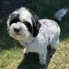 @7350099769643205675