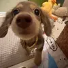 @7391789150892229675