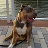 @7415676106165339179