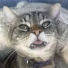 @7422332426678043690