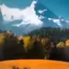 lintoftyv8z