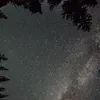 @7539826225934500877