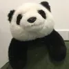 @7545773708910527502