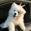 @7554329730473460749