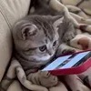 @7590704366966326327