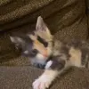 @7594918007278339085