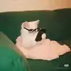 @7619858814800315405