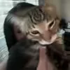 @7622074708607435790