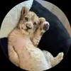 @7626412422891275278