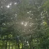 @7636174055032718349