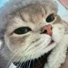 @7637782760996078605