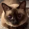 @7641526894252786701
