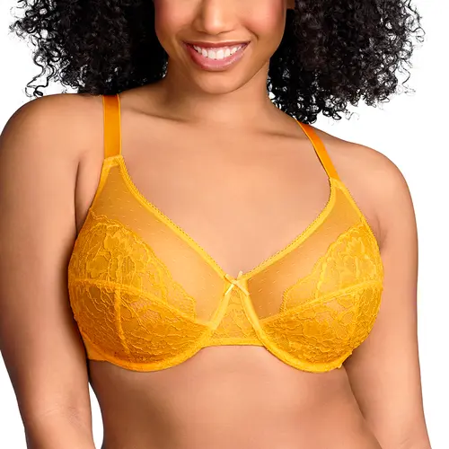 HSIA Enchante Floral Lace Underwire Plus Size Unlined Full Coverage Bra