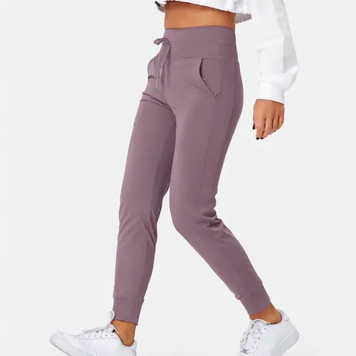 Halara SoftlyZero Plush High Waisted Drawstring Pocket Plain Full Length Joggers