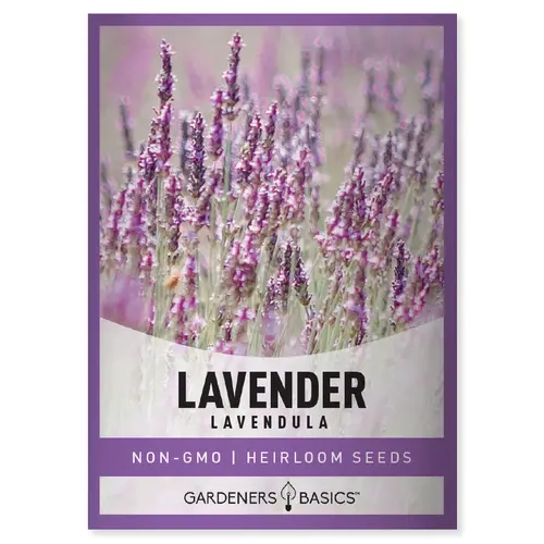 Lavender Seeds For Planting In Garden Herbal Tea Butterfly and Bee Pollinator Perennial Plant Seed