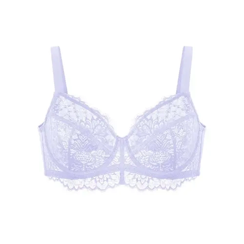 HSIA Sunflower Floral Lace Unlined Sexy Plus Size Underwire Full Coverage Bra