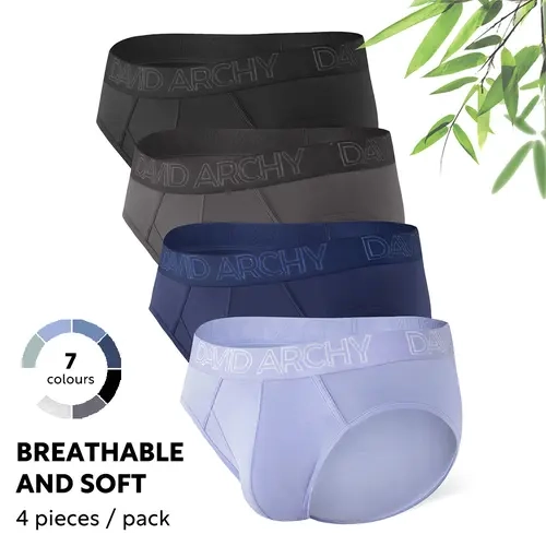 David Archy Men's Underwear Bamboo Rayon Briefs Super Soft Comfort Pouch Briefs 4Pack Basic Menswear Lightweight Breathable Big Spandex Boxers Fabric, Sexy, Solid Brief