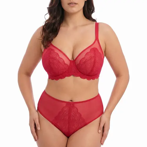 HSIA Mermaid Scales Lace Sheer Mesh Back High-Rise Brief Underwear Matching Panty