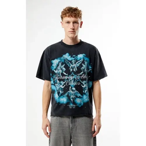 Pacsun Men's Harmony Amidst Chaos Cropped T-Shirt