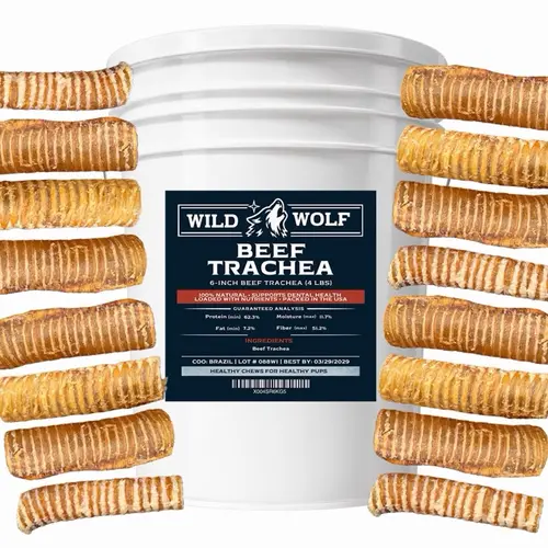 6” Beef Trachea Bucket (4 Pounds) 100% Natural Dog Chew Treats - Single-Ingredient