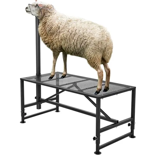 VEVOR Metallic Goat & Sheep Livestock Stand, 47x23 inch, 4-Level Adjustable Height (21-33in), 500 lbs Loading Capacity, Rust-Resistant Spray Coating, Smooth Edges, Headpiece & Nose Loop for Milking/Shearing, Black