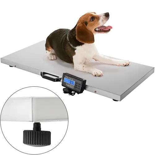 【toolupgrade】VEVOR 880Lbs x 0.2Lbs Livestock Scale Shipping Scales Large Platform 40.6x20.9Inch Stainless Steel Vet Scale Industrial Floor Scale Large Animal Dog Pig Scale Goat Weight Scale Pet Digital Scale