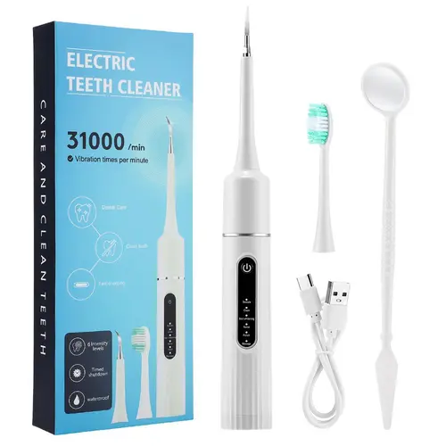 6-speed Adjustment Electric Toothbrush with Replacement Brush Head, 1 Set Waterproof Type C Charging Cordless Teeth Cleansing Deep Cleansing Protecting Gums Toothbrushes for Adults, Teeth Cleaner, Toothbrush Kit, Rechargeable Toothbrushes For Adults