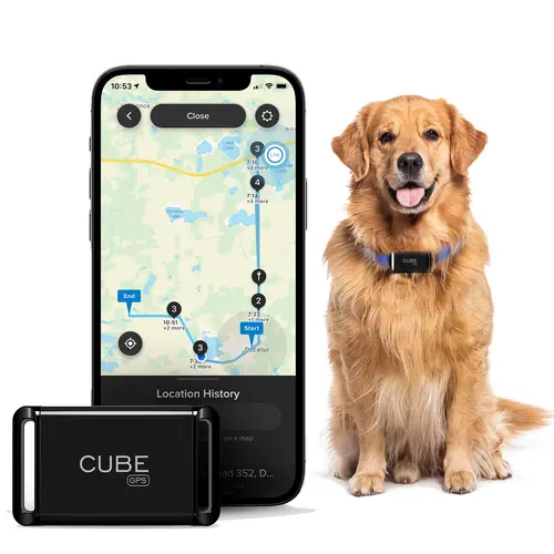 CUBE Smart GPS Tracker - Mini Wireless Smart Tracking Tag for Vehicles, Car-Share Ready, iOS/Android App-Enabled with Route History, Speed Monitoring, Accident Alert, Geofencing, Theft Guarding, No Activation Fees, Cancel Anytime, Li-Ion Battery