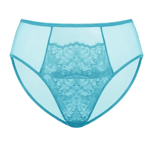 Live Exclusive HSIA Sunflower Floral Lace Sheer Mesh Back Bikini Underwear High-Rise Brief Matching Panty