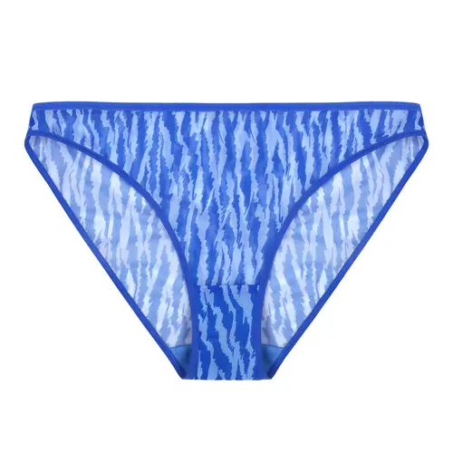 HSIA Zebra Wild Sexy Sheer Mesh Panty Mid Rise Bikini Briefs For Women Soft Breathable Half Coverage Underwear Stretch Waistband Stay In Place Panties