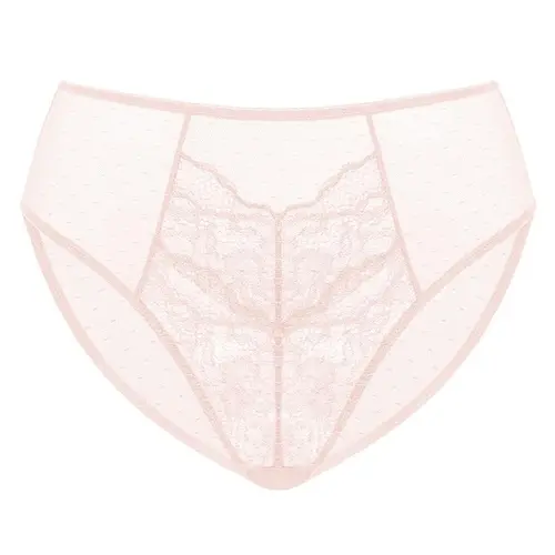 HSIA Floral Soft Lace Comfortable Mesh High-Rise Mid-Rise Bikini Brief Underwear