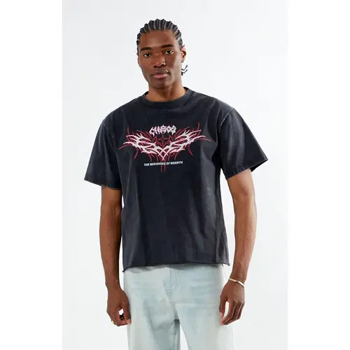 Pacsun Men's Chaos Cropped T-Shirt