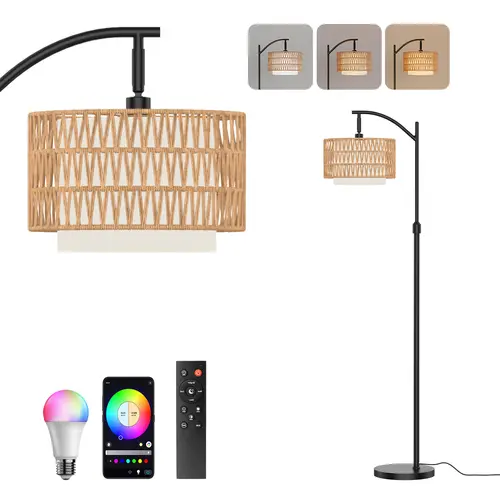 VALLERICO Bohemian Cast Iron Curved Pole Floor Lamp - UL Listed, AC Power Supply, 3 Color Temperatures, Stepless Dimmer, RGB, Remote & Foot Switch, 360° Rotation Accent Light Lamp, Modern Home Holiday Gift for Living Room Decor,Black Friday