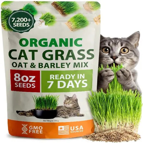 Home Grown Premium Non-GMO Natural Heirloom Cat Grass Seeds - Indoor Home Garden Supplies, Oat & Barley Mix, 7-Day High Germination, Fast Growth, Multi Harvests, Easy to Grow, Aids Digestion, Hairball Aid, Enhances Diet