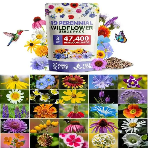 Wildflower Seeds - (90,000 Seeds) 3oz Pure Wild Flower Seed Pack - 25 Variety - Perennial Flower Seeds - Open Pollinated
