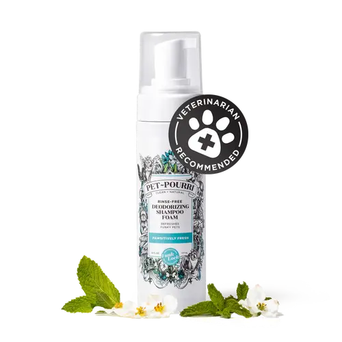 [Pet~Pourri] Rinse-Free Deodorizing Shampoo Foam