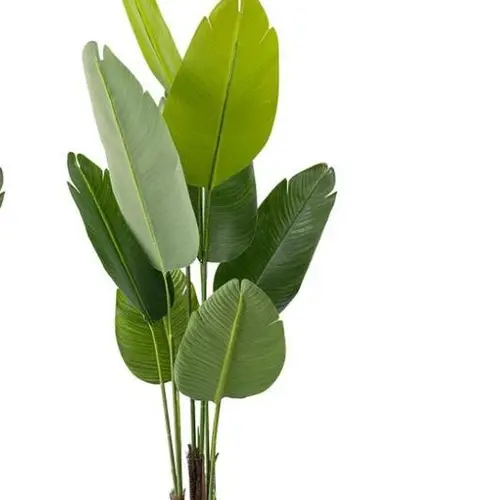 Artificial Bird of Paradise 5 Feet 60 Inch Premium UV Resistant Lifelike Fake Plant in Pot with Dried Moss for Office  Valentine's dayIndoor Outdoor Use Tropical Home Décor Tree Garden Decorations Decorative Flowers Ornaments Outdoorfun Gift - Fruit summe