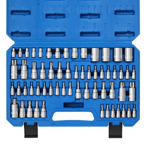 CASOMAN 60-Pc Full Range Drive Socket Set - 60-Piece Master Torx Bit & External Torx Set, S2 Cr-V Steel Mechanic Tools, Precisely Machined Bits (E4-E24, T6-T70, TT6-TT70, TP8-TP60), Chrome Rust-Resistant Finish, Manufacturer Warranty, Tool Upgrade